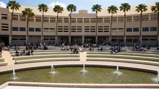 Universidad de Alicante.