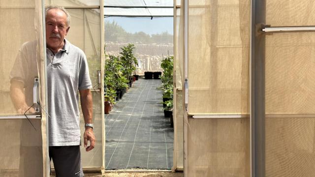 Montserrat Pons i Bonseca a las puertas de su invernadero donde guarda esquejes de higuera.