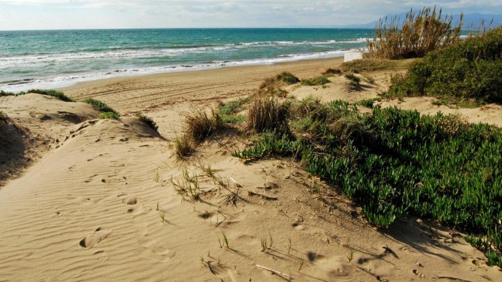 Dunas de Artola.