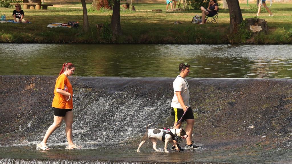 Unas personas refrescándose con su perro en Salamanca