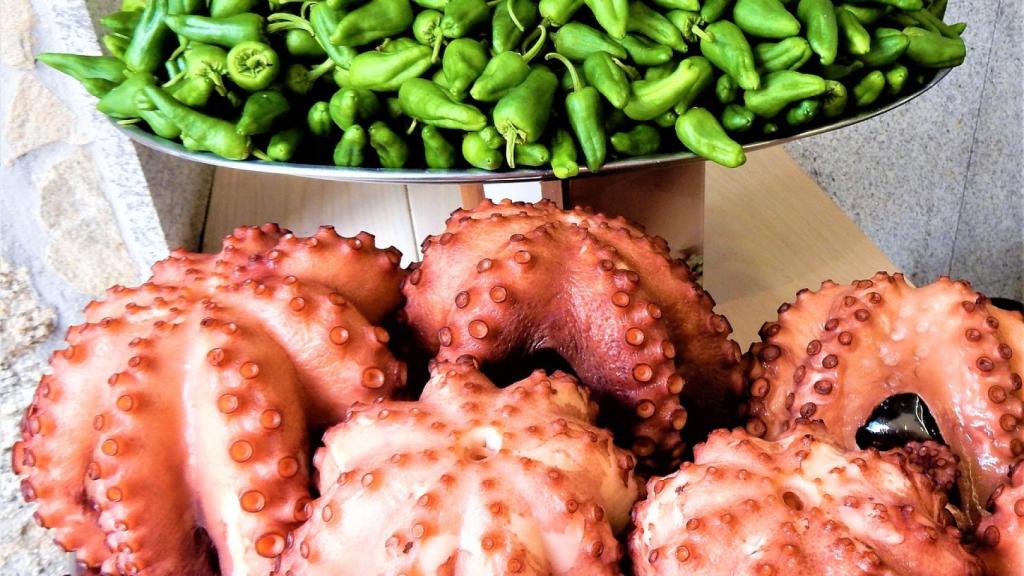 Pimientos de Padrón y pulpo.