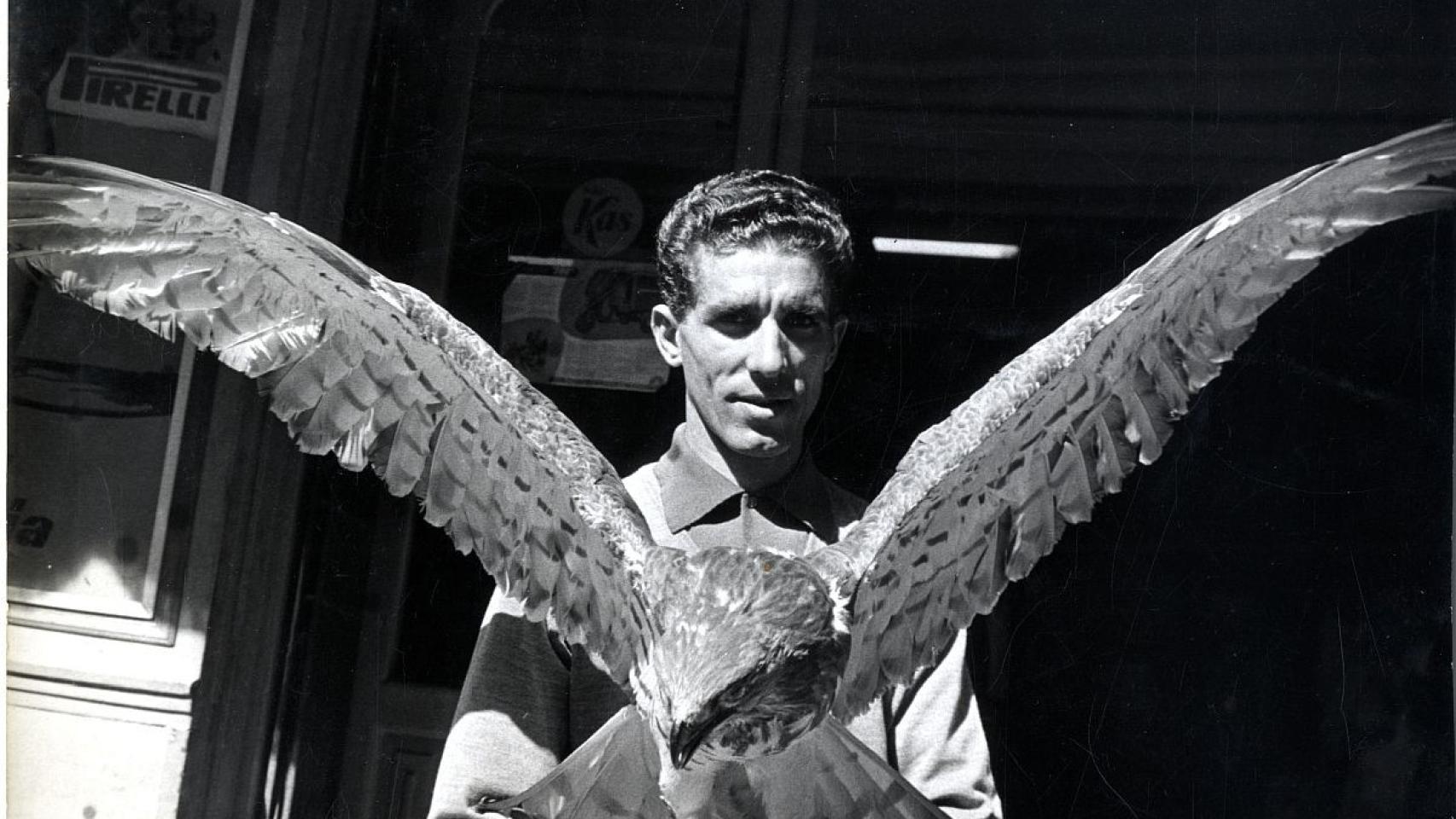 Federico Martín Bahamontes, el Águila de Toledo.