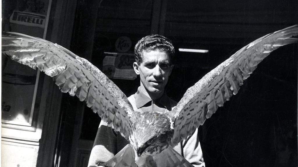 Federico Martín Bahamontes, el Águila de Toledo.