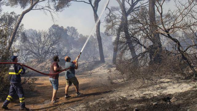 Incendio en el paraje natural de Las Canteras, en Cádiz.