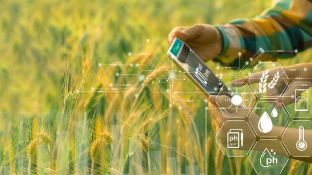 WhatsApp Image 2023-08-08 at 16.53.43