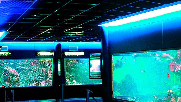 El acuario de Santa Pola.