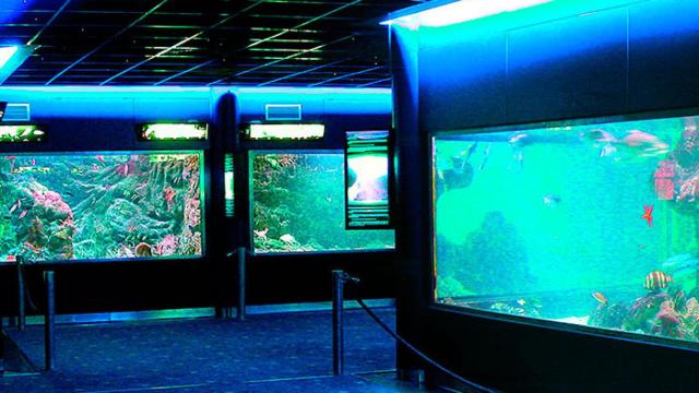 El acuario de Santa Pola.