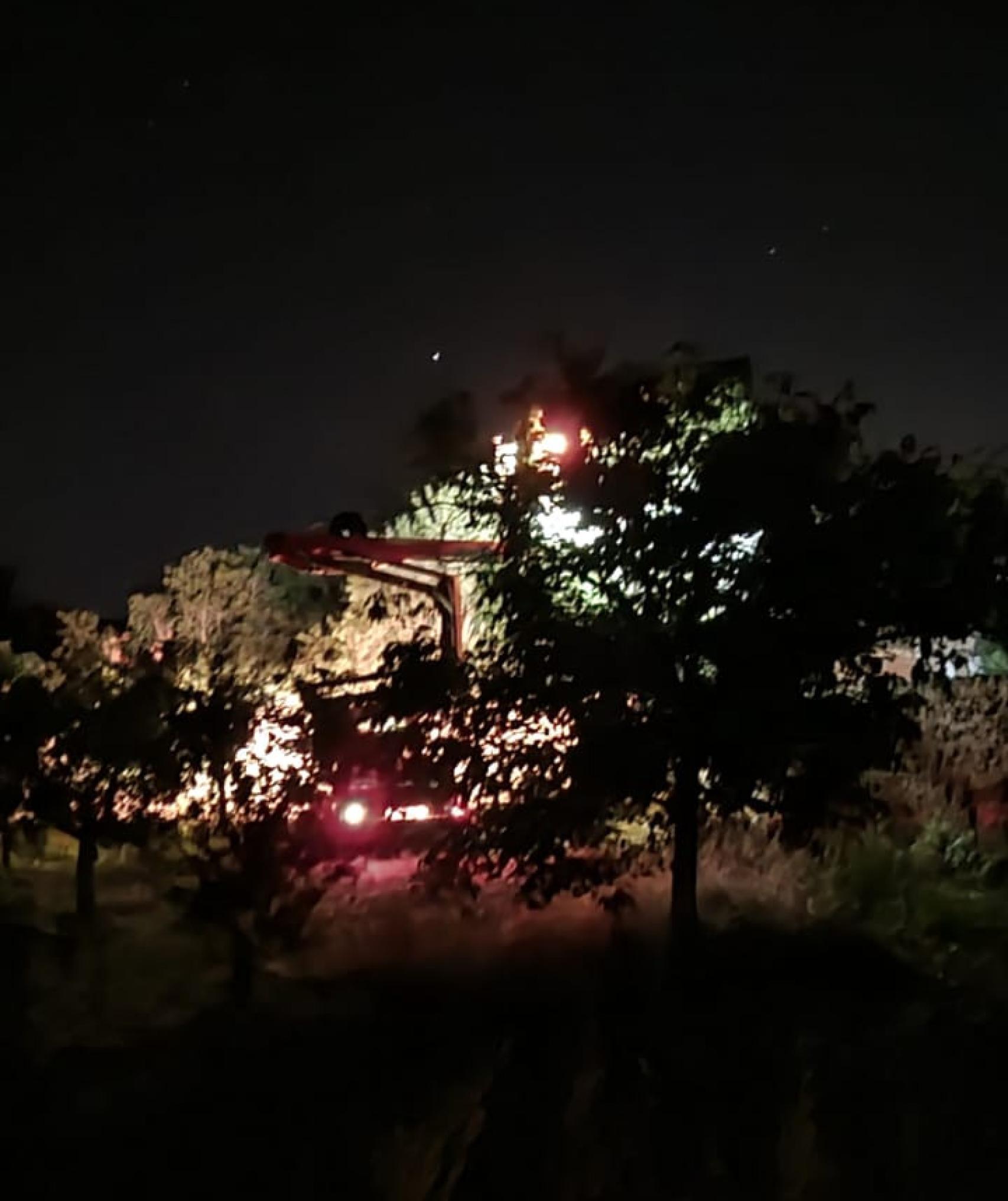 Los bomberos de Benavente retirando un nido de avispas