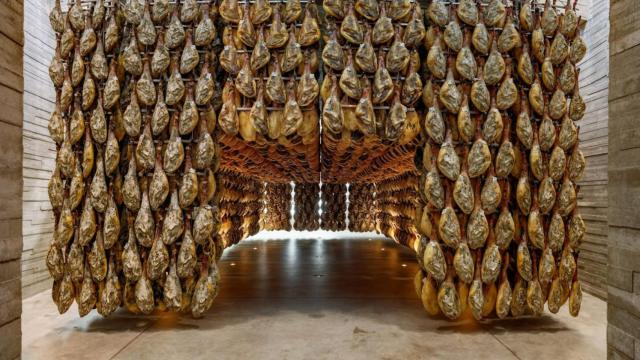 El Campus del Jamón, el único centro educativo dedicado al jamón,  está a 30 minutos de Segovia