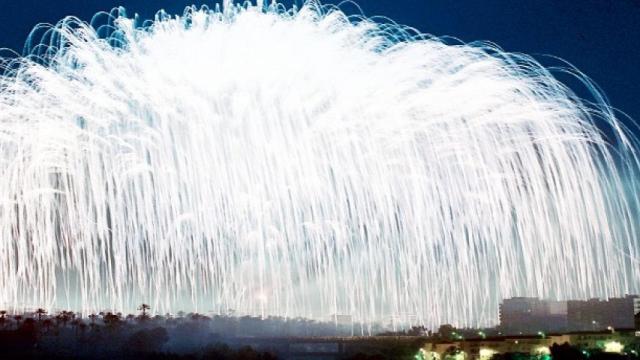 Palmera de la Nit de l'Albà de Elche en una imagen de archivo.