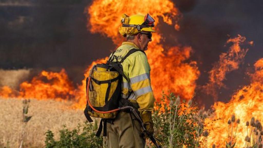 Un bombero forestal en un incendio en Burgos