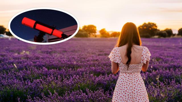 Campo de lavanda en Tiedra junto a un telescopio en el Centro de Interpretación