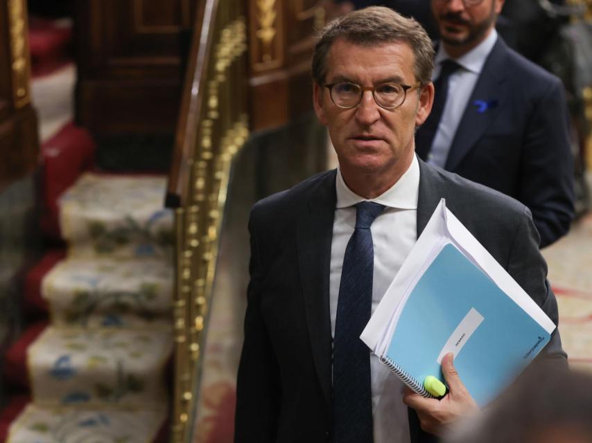 Alberto Núñez Feijóo en el Congreso de los Diputados.