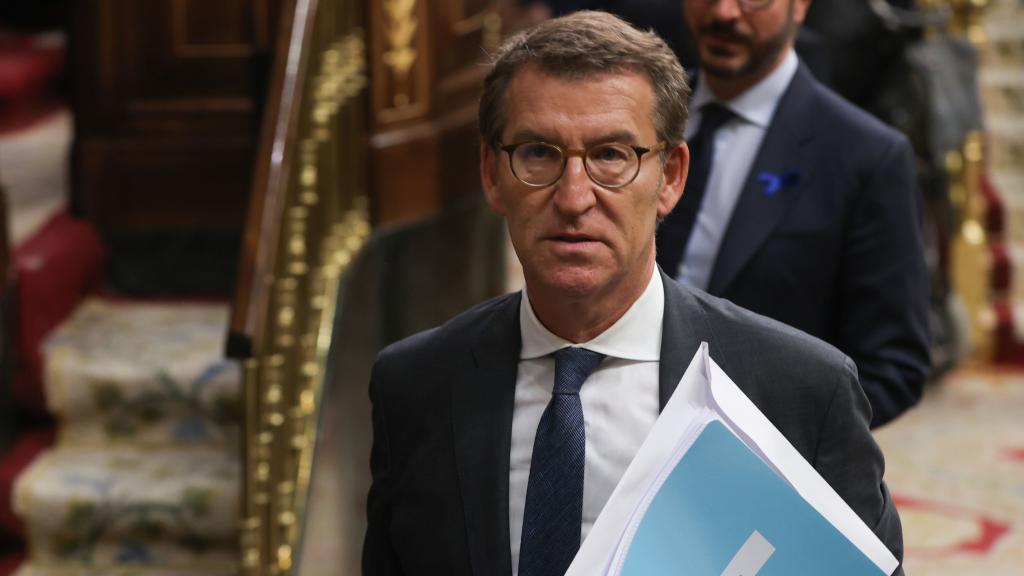 Alberto Núñez Feijóo en el Congreso de los Diputados.
