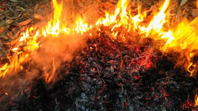 incendio pajar