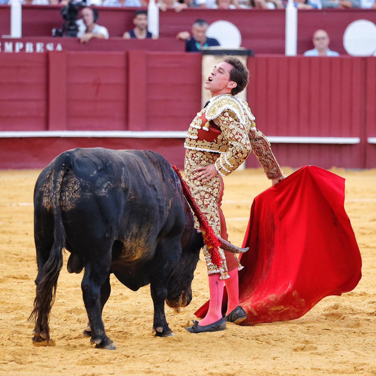 Ginés Marín, en las proximidades del toro.