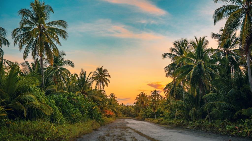 Foto de Mohamed Sarim en Pexels