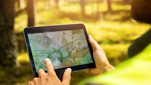 Iberdrola lanza Carbon2Nature para reducir la huella de carbono global