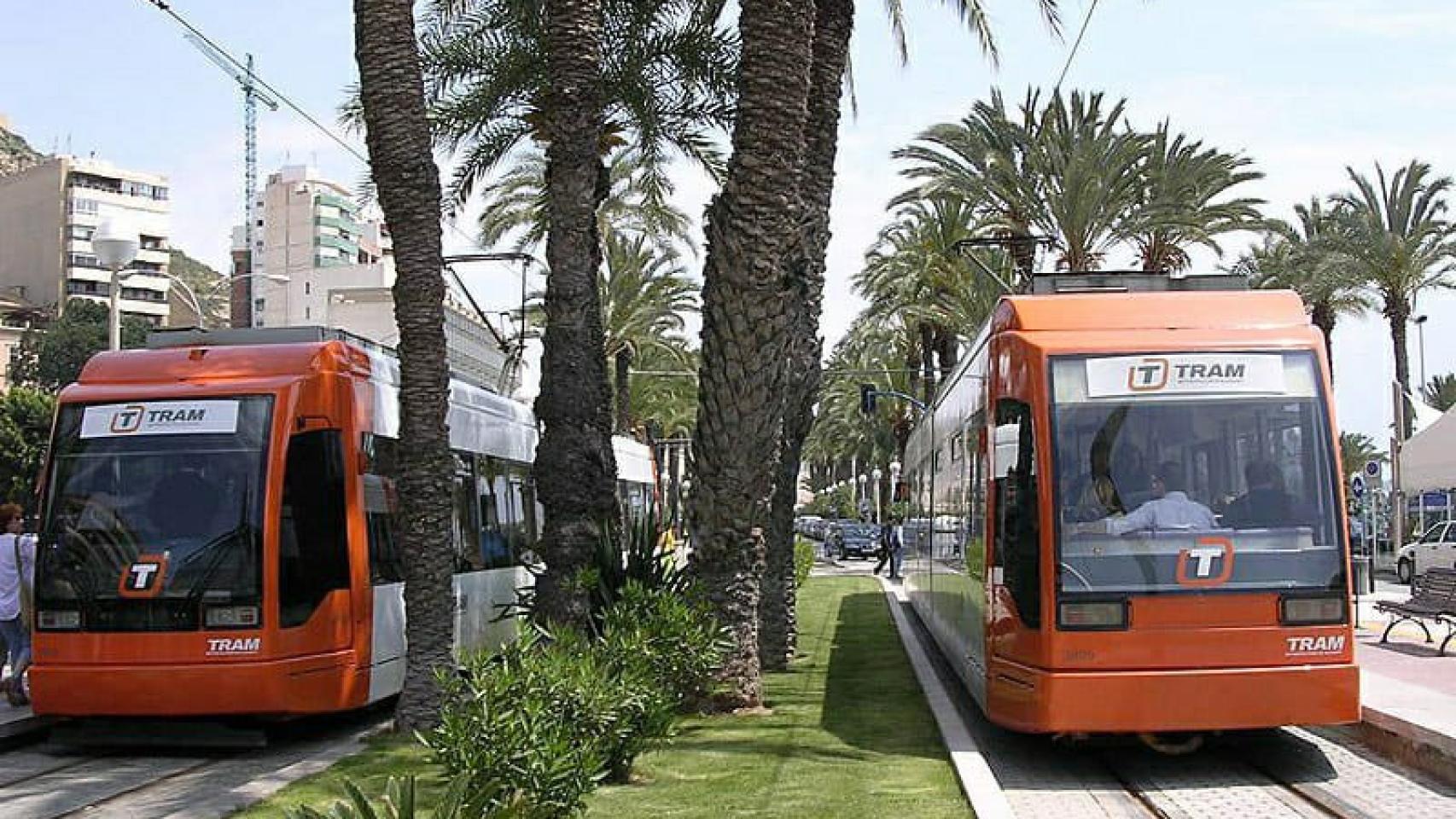 El TRAM, en imagen reciente.