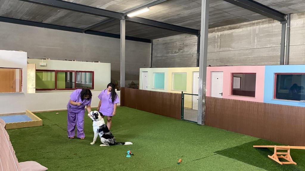 Otra de las estancias del hotel para mascotas conquense.