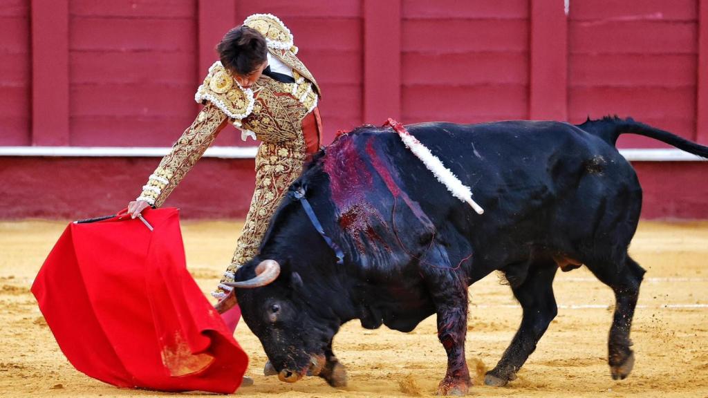 Andrés Roca Rey, ante su tercer toro.