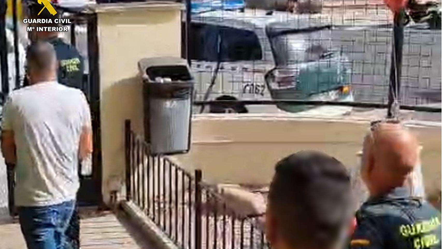 Uno de los detenidos por la Guardia Civil.