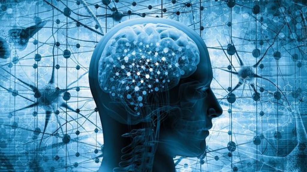 Recreación de un cerebro súper desarrollado