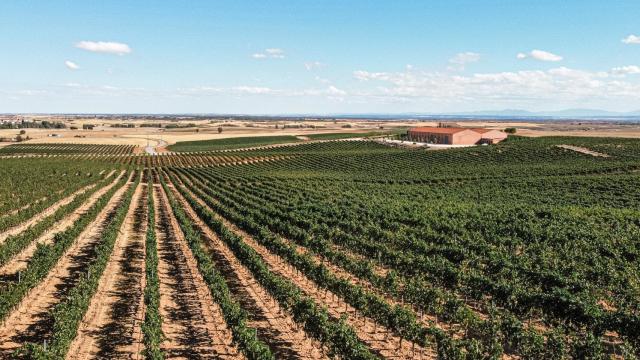Así es como se prepara una gran bodega para la vendimia