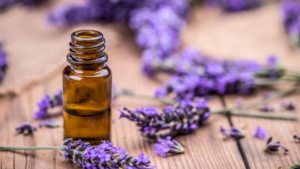 El aceite esencial de lavanda es uno de los más utilizados para la relajación.