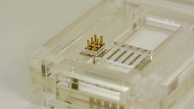 Componente de papel incorporado en un cartucho de metacrilato.