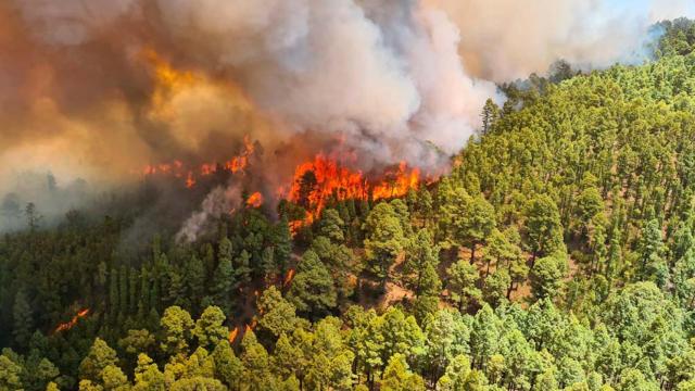 Incendio en Tenerife