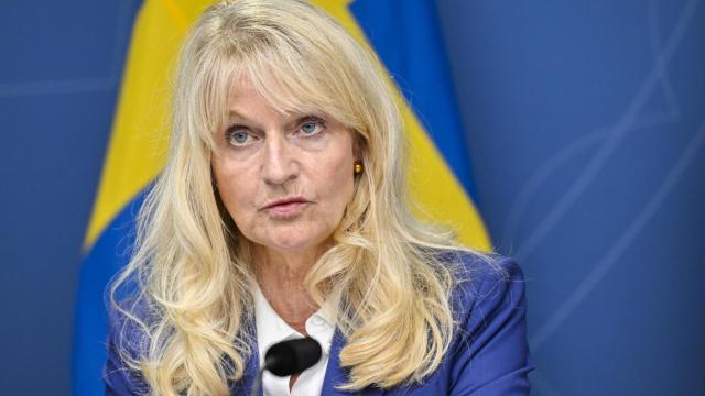 Charlotte von Essen en una conferencia sobre el deterioro de la seguridad