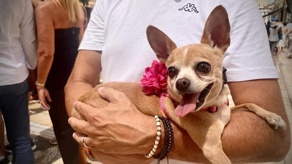 Sophie posa para EL ESPAÑOL de Málaga.