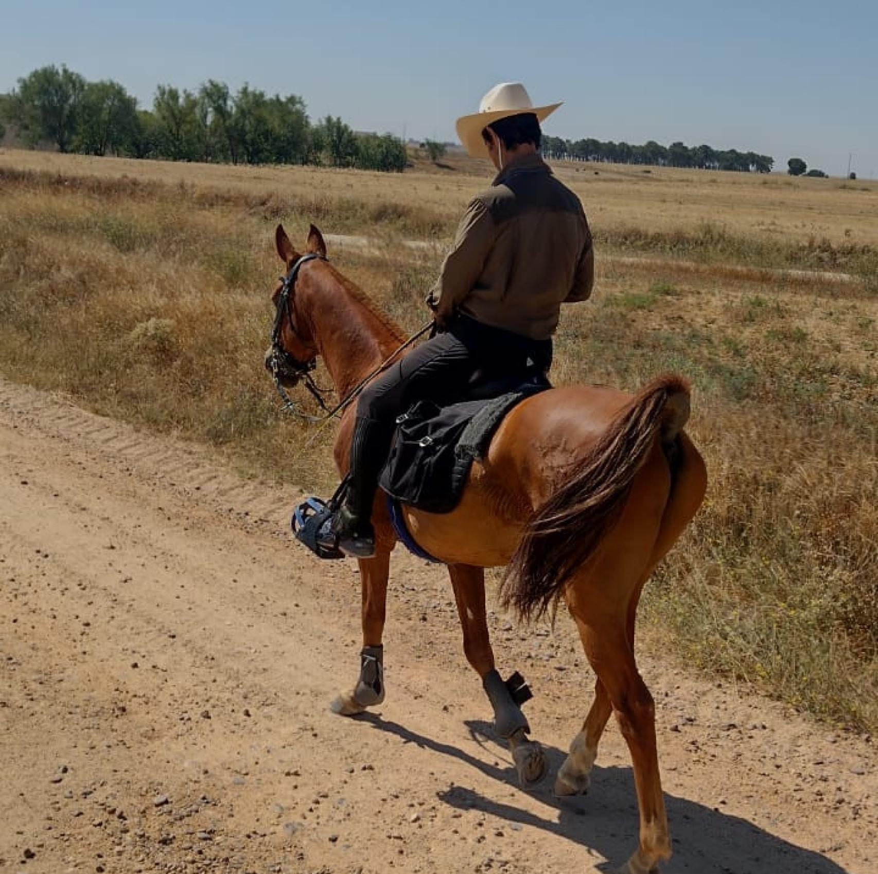 Camino por los paisajes castellanos