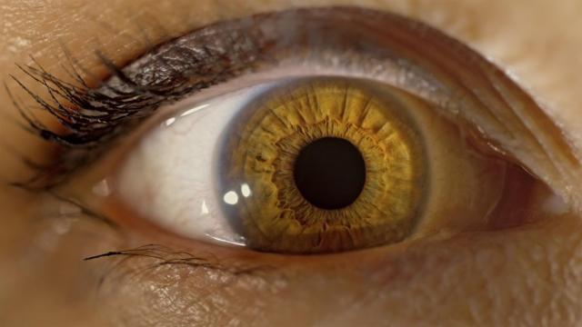 Una pupila medio dilatada.