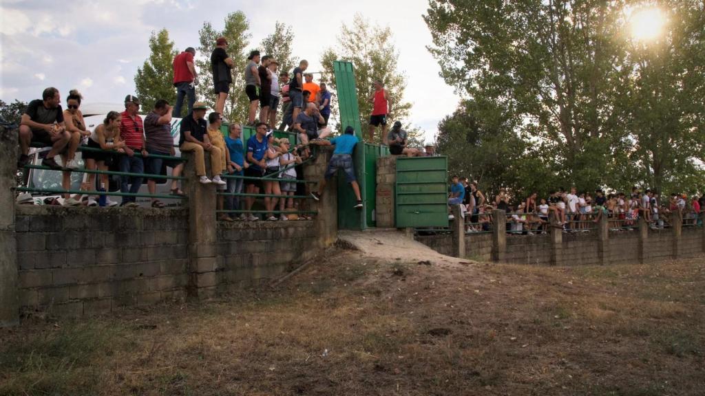Concurrido desenjaule de los novillos en Aldeadávila