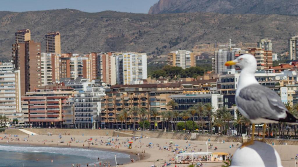 Ciudad de Benidorm.