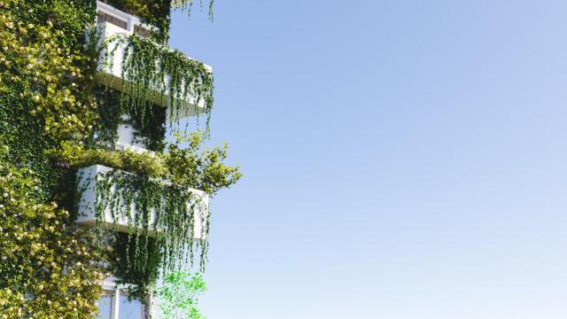 El sector inmobiliario sostenible: el camino hacia el cero neto (iStock)