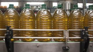 Garrafas de plástico llenas de aceite de oliva.