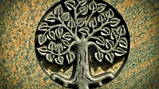 Imagen de archivo de el símbolo del árbol de la vida.