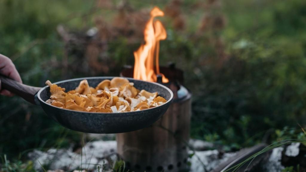 Cocinando setas en el bosque