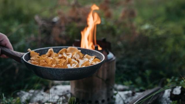 Cocinando setas en el bosque