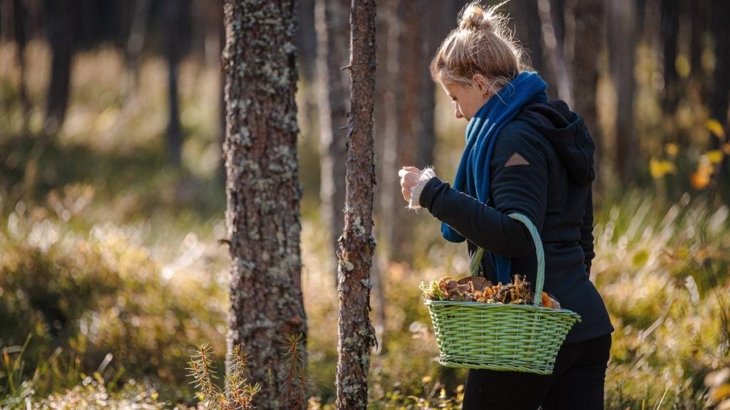 Mujer recogiendo setas en el bosque