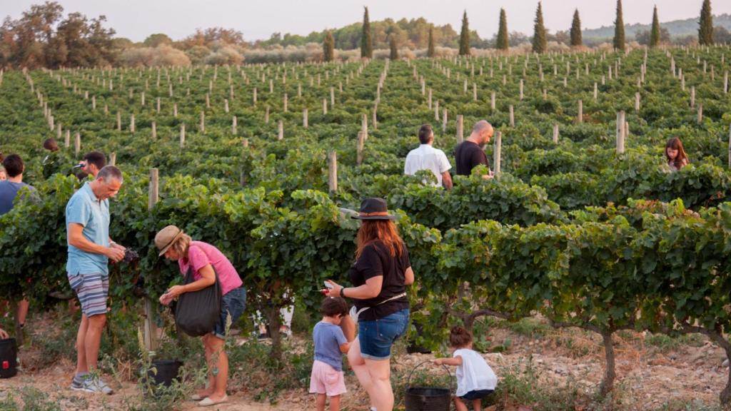 La Vinyeta, Mollet de Peralada