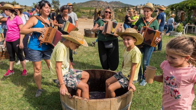 «Hazte el mosto» en las viñas de Vilajüiga
