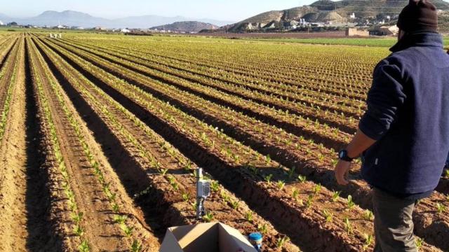Una explotación agraria con los dispositivos de la startup BrioAgro.