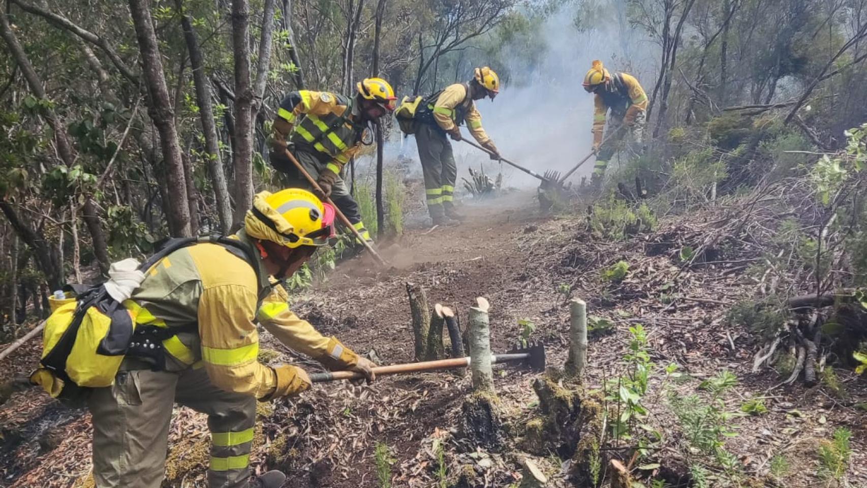 Las BRIF trabajando en el incendio de San Bartolomé de Rueda