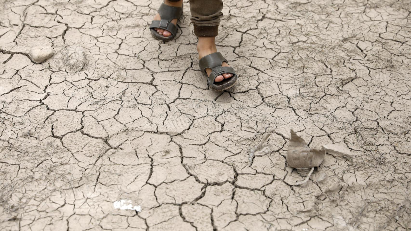 Tras la guerra en Ucrania y la sequía, El Niño pone en alerta a los mercados