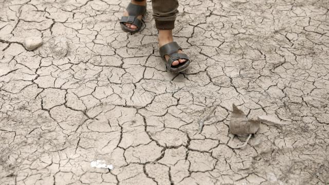 Tras la guerra en Ucrania y la sequía, El Niño pone en alerta a los mercados
