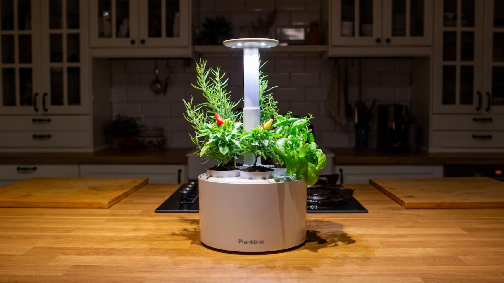 Plantone 2.0